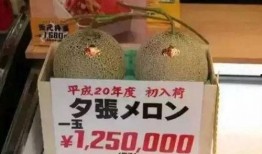 娱乐吃瓜作品有哪些,盘点热门娱乐八卦作品