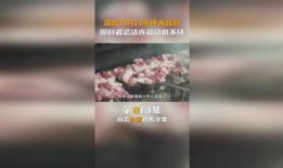 淄博烧烤爆料事件真相最新,还原背后真实故事